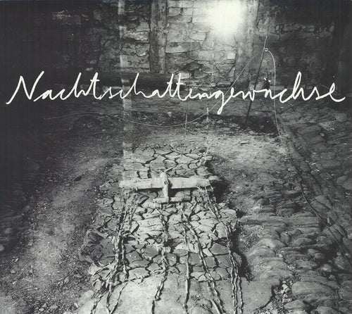 Original offset lithograph poster by Anselm Kiefer from 1991, featuring abstract artwork, displayed on a gallery wall.