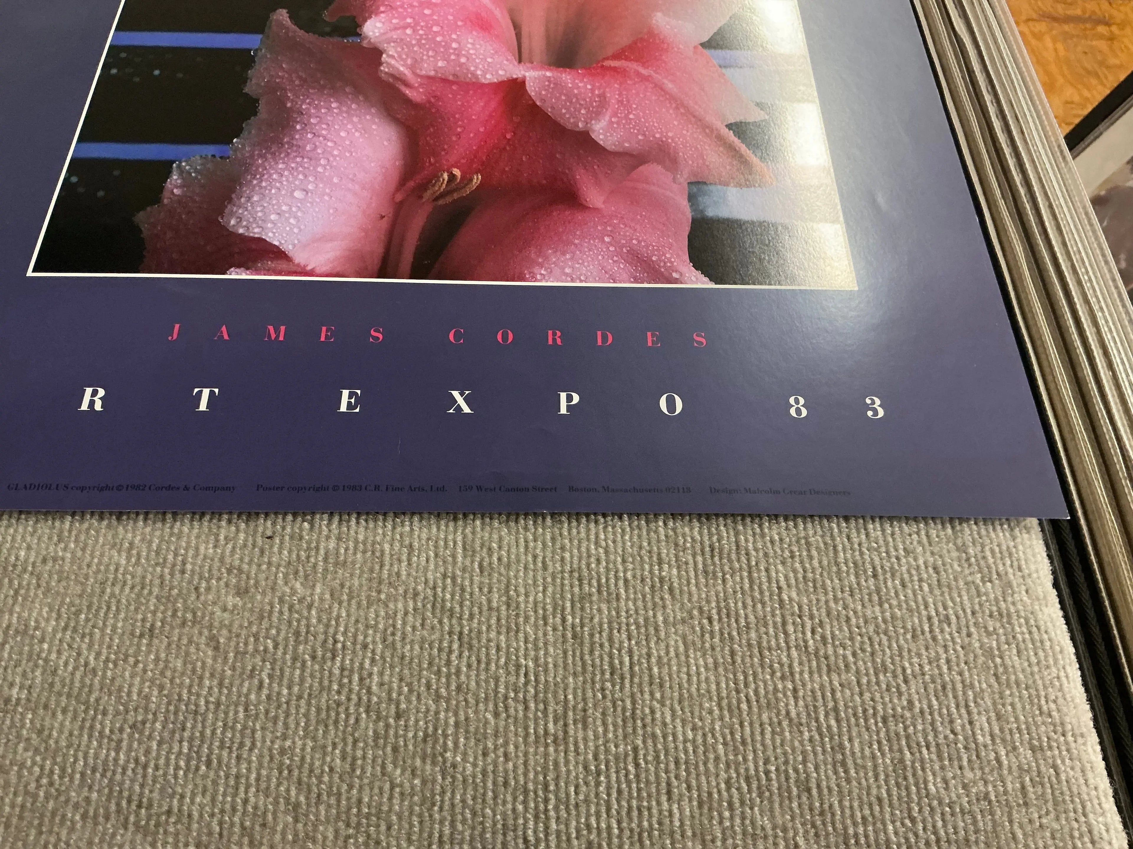 https://cdn.shopify.com/s/files/1/0480/1380/3676/files/CB7549_8.jpg?v=1757447453