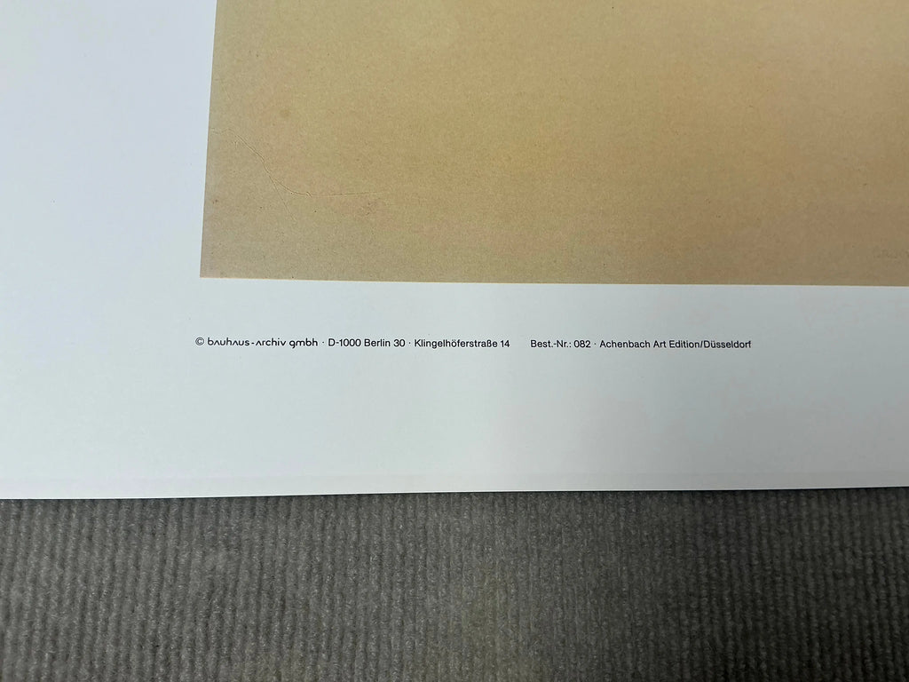 https://cdn.shopify.com/s/files/1/0480/1380/3676/files/YY4871_8.jpg?v=1756932425