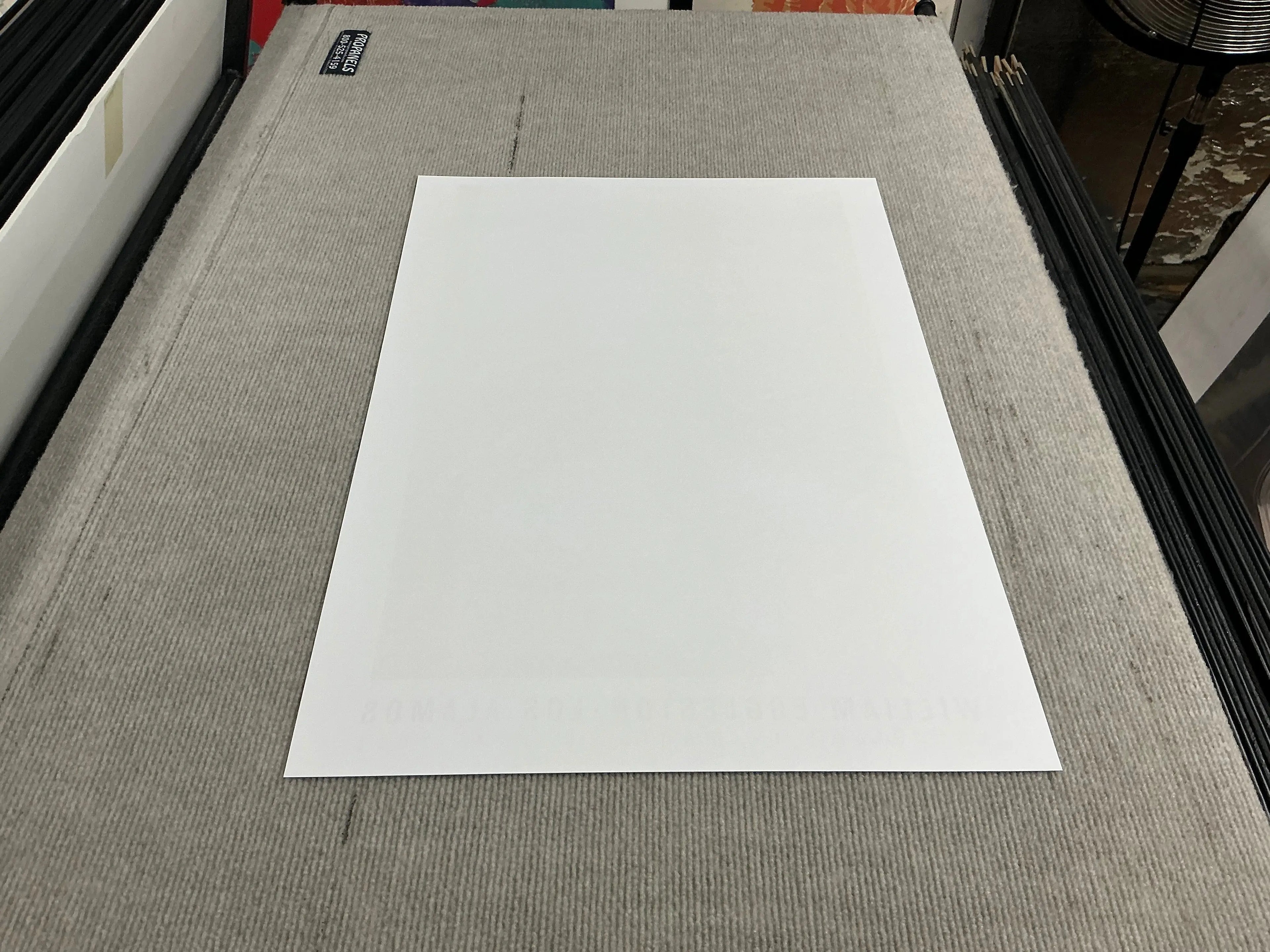 https://cdn.shopify.com/s/files/1/0480/1380/3676/files/CB8125_15.jpg?v=1746481452