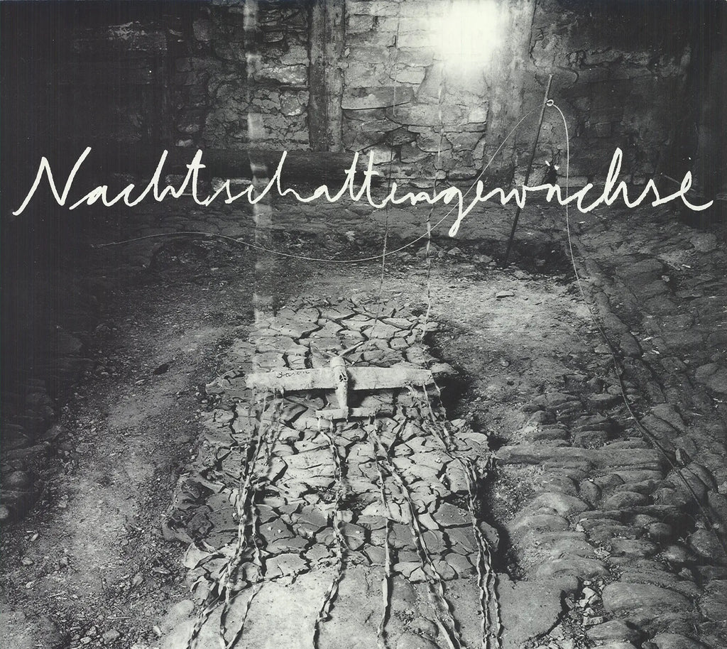 Original Anselm Kiefer lithograph poster from 1991, displayed at Yvon Lambert Gallery, featuring abstract artwork by the artist.