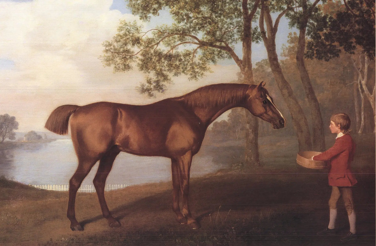 George Stubbs pumpkin with stable-lad offset lithograph print, depicting a detailed scene with pumpkins and a young stable worker.