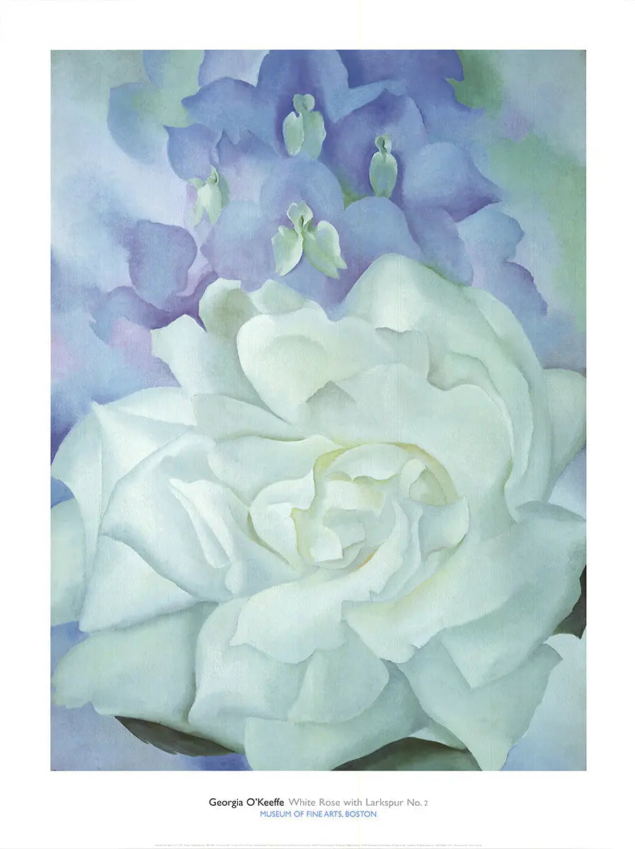 Original Georgia O'Keeffe art poster featuring a white rose with larkspur, showcasing vibrant floral watercolor details.