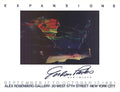 Gordon Parks Expansion 1981 art poster featuring a gallery exhibition image with bold colors and photographic artwork.