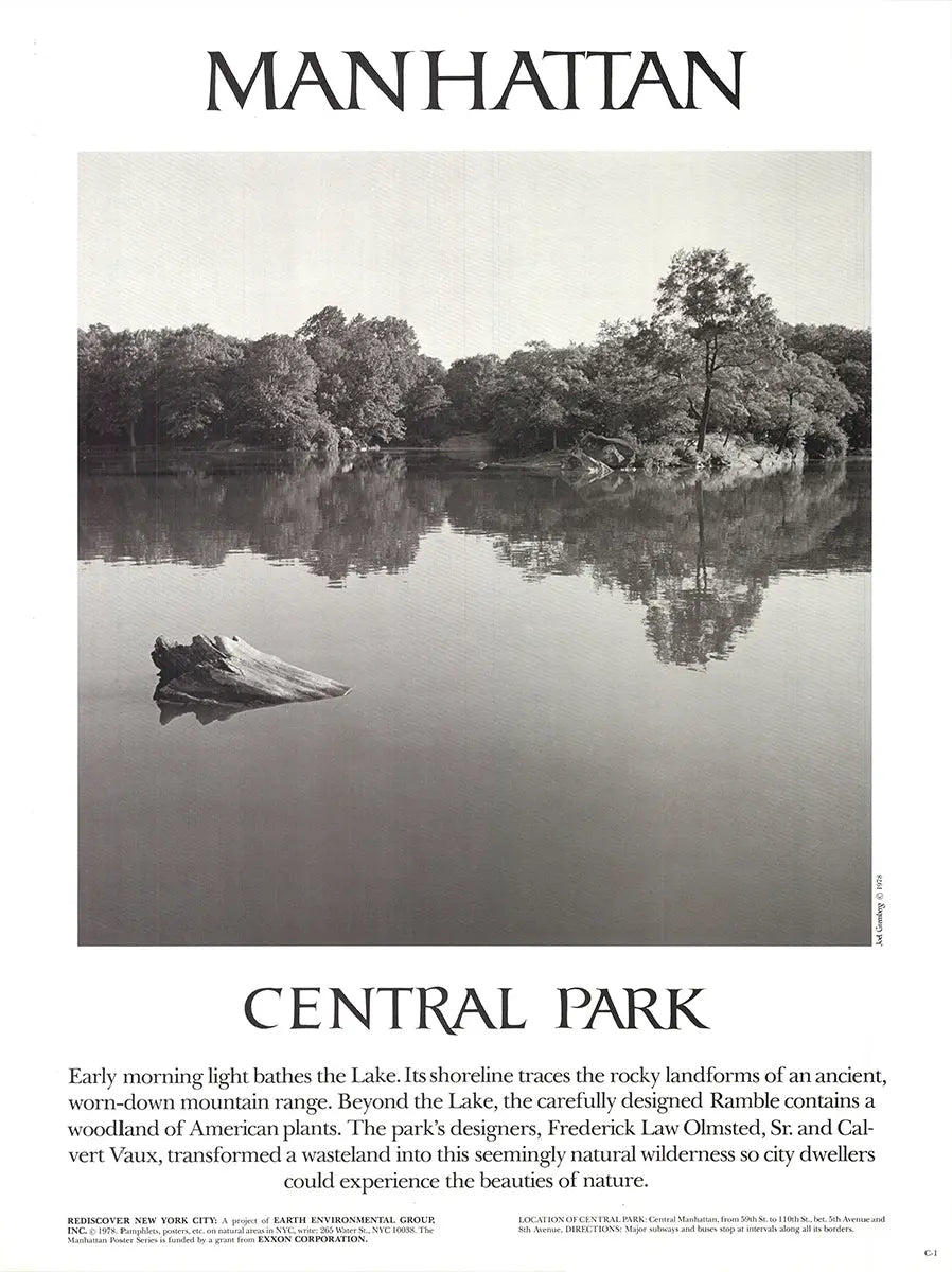 Vintage offset lithograph poster of Central Park 1978 by Joel Greenberg, featuring a detailed black and white photography print.