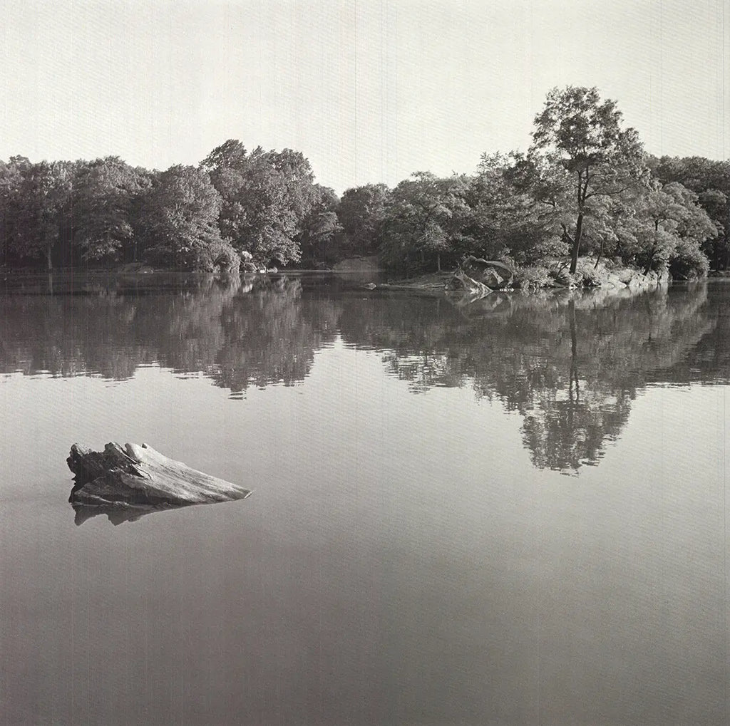 Vintage Central Park 1978 offset lithograph poster by Joel Greenberg, showcasing classic photography of New York's park.