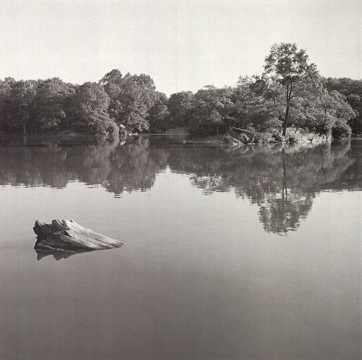 Vintage Central Park 1978 offset lithograph poster by Joel Greenberg, showcasing classic photography of New York's park.