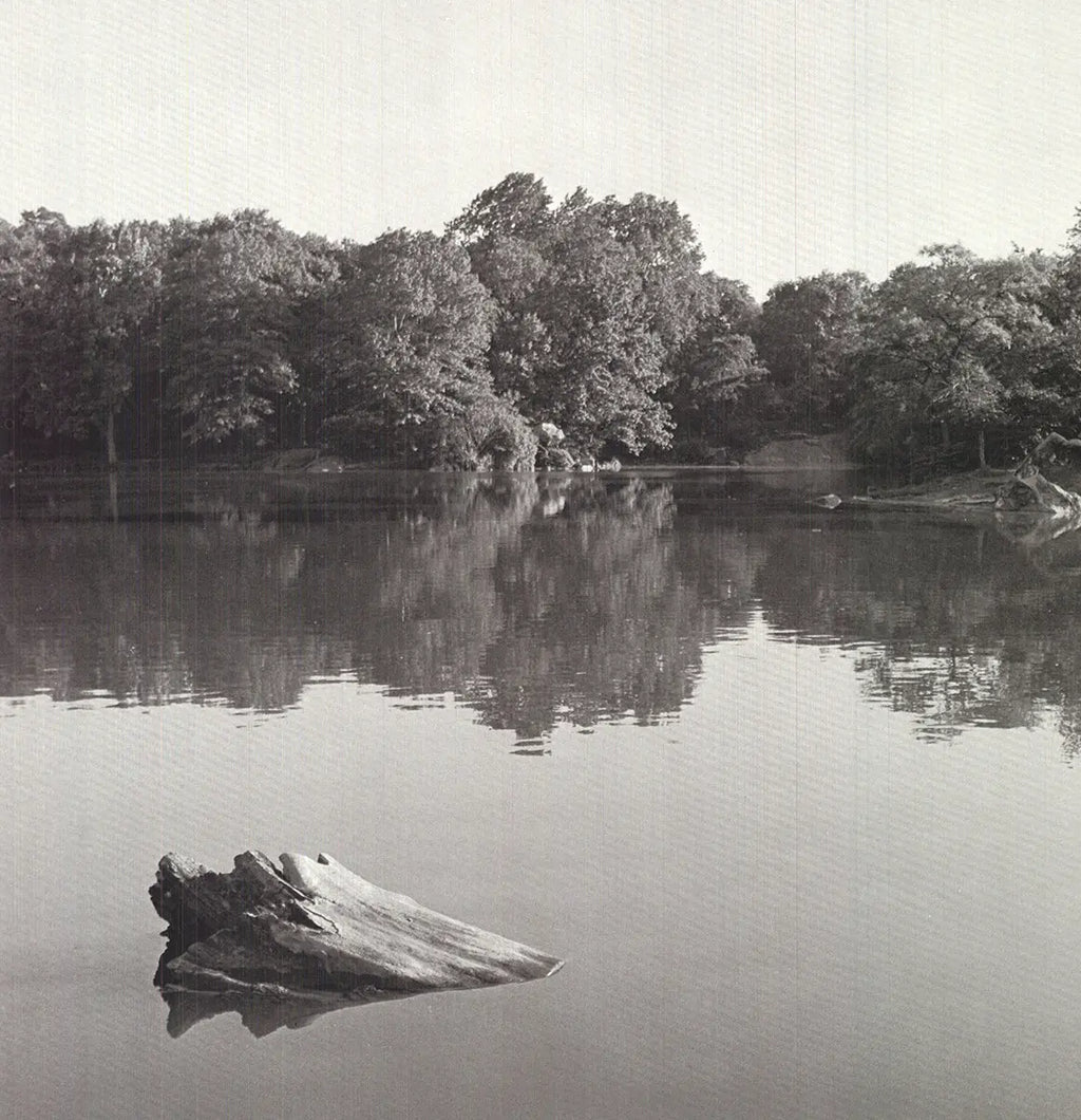 Vintage photography offset lithograph poster of Central Park in 1978 by Joel Greenberg, showcasing a classic New York City scene.