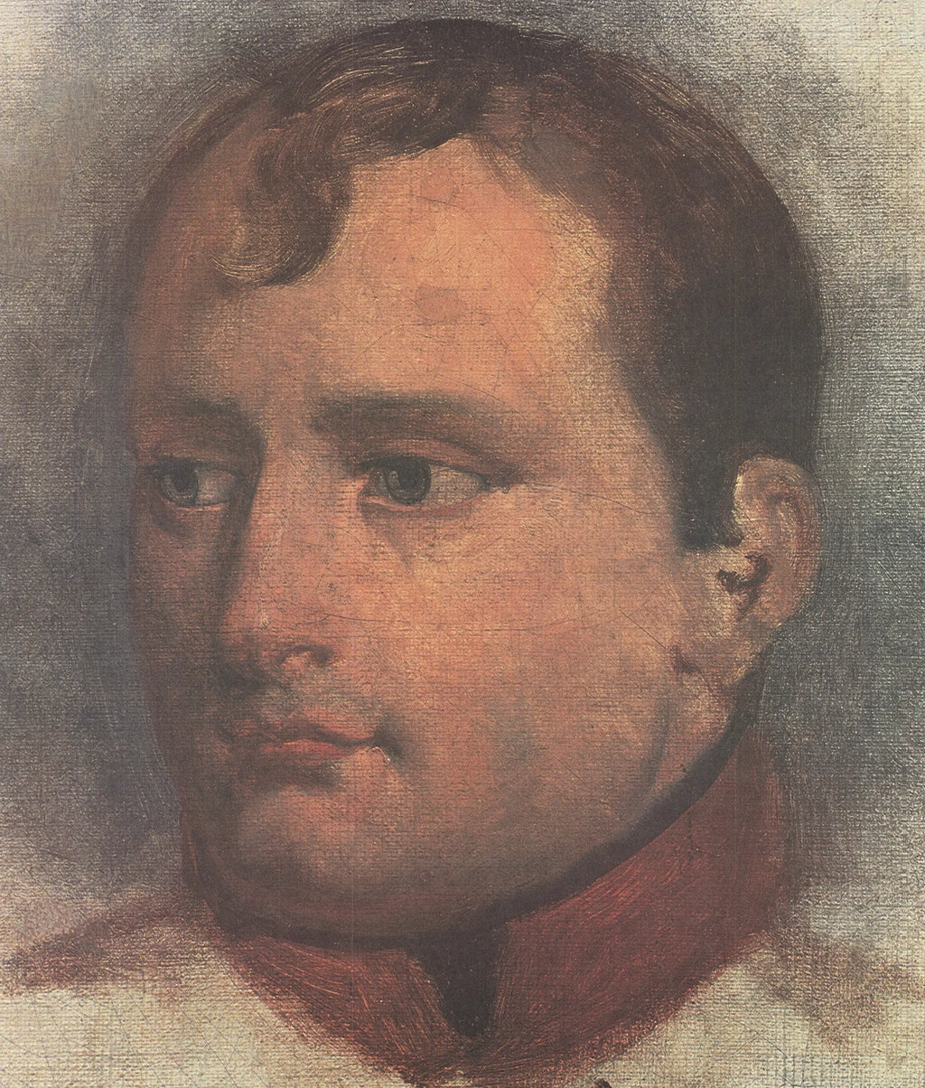 Offset lithograph art poster of Napoleon by Horace Vernet, 1972, showcasing a detailed portrait of the French emperor.