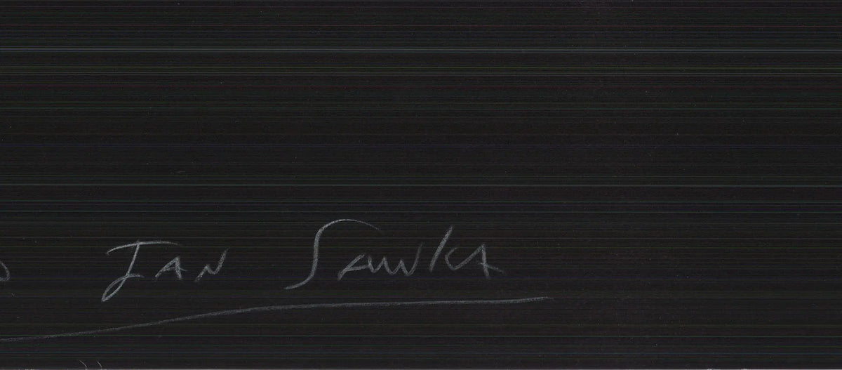 Jan Sawka signed limited edition lithograph poster from Auction XIX 1994, featuring vibrant artwork and signature details.