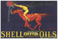 Vintage 1980 Jean D'Ylen Shell Oils lithograph poster featuring colorful artwork and bold design, classic collectible print.