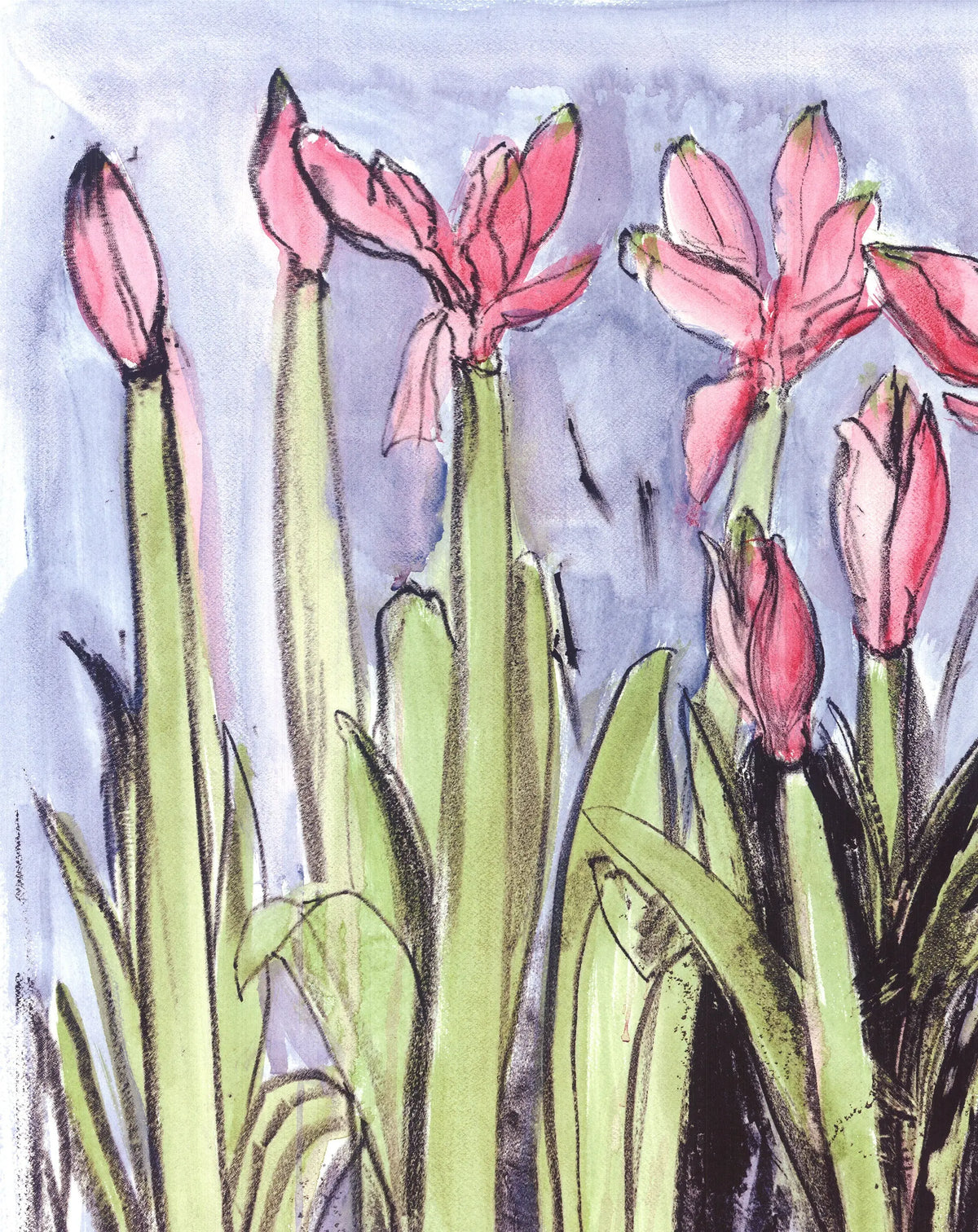Jim Dine Anemones 2004 floral offset lithograph exhibition art print showcasing vibrant flower illustrations by the artist.