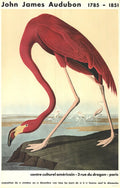 Original 1960 John James Audubon American Flamingo Mourlot lithograph poster showing vibrant pink flamingo in natural habitat.