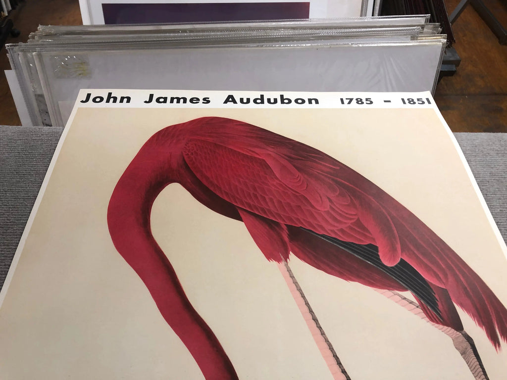Original 1960 John James Audubon American Flamingo Mourlot lithograph poster with vibrant pink flamingo illustration.