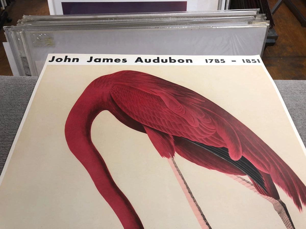 Original 1960 John James Audubon American Flamingo Mourlot lithograph poster with vibrant pink flamingo illustration.