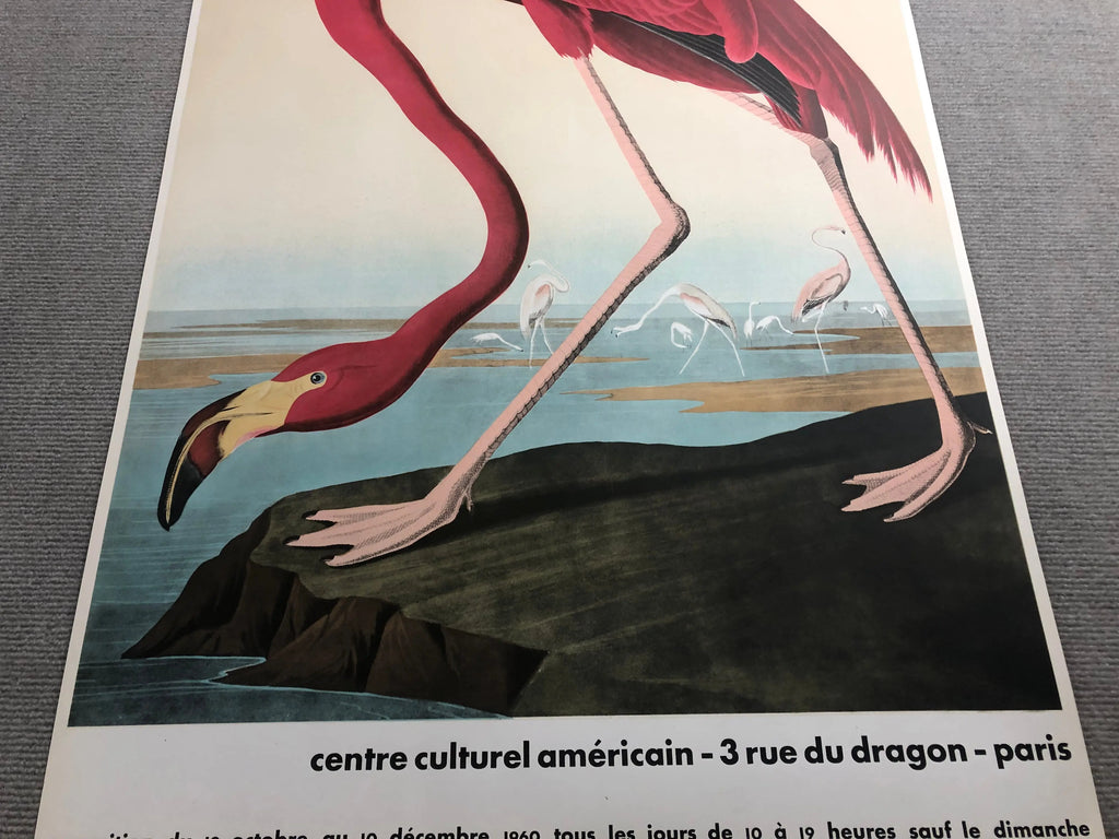 Original 1960 John James Audubon American Flamingo Mourlot lithograph poster showing vibrant flamingo illustration.