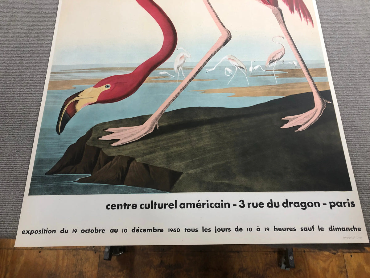 Original 1960 John James Audubon American Flamingo Mourlot lithograph poster showing vibrant flamingo illustration on paper.