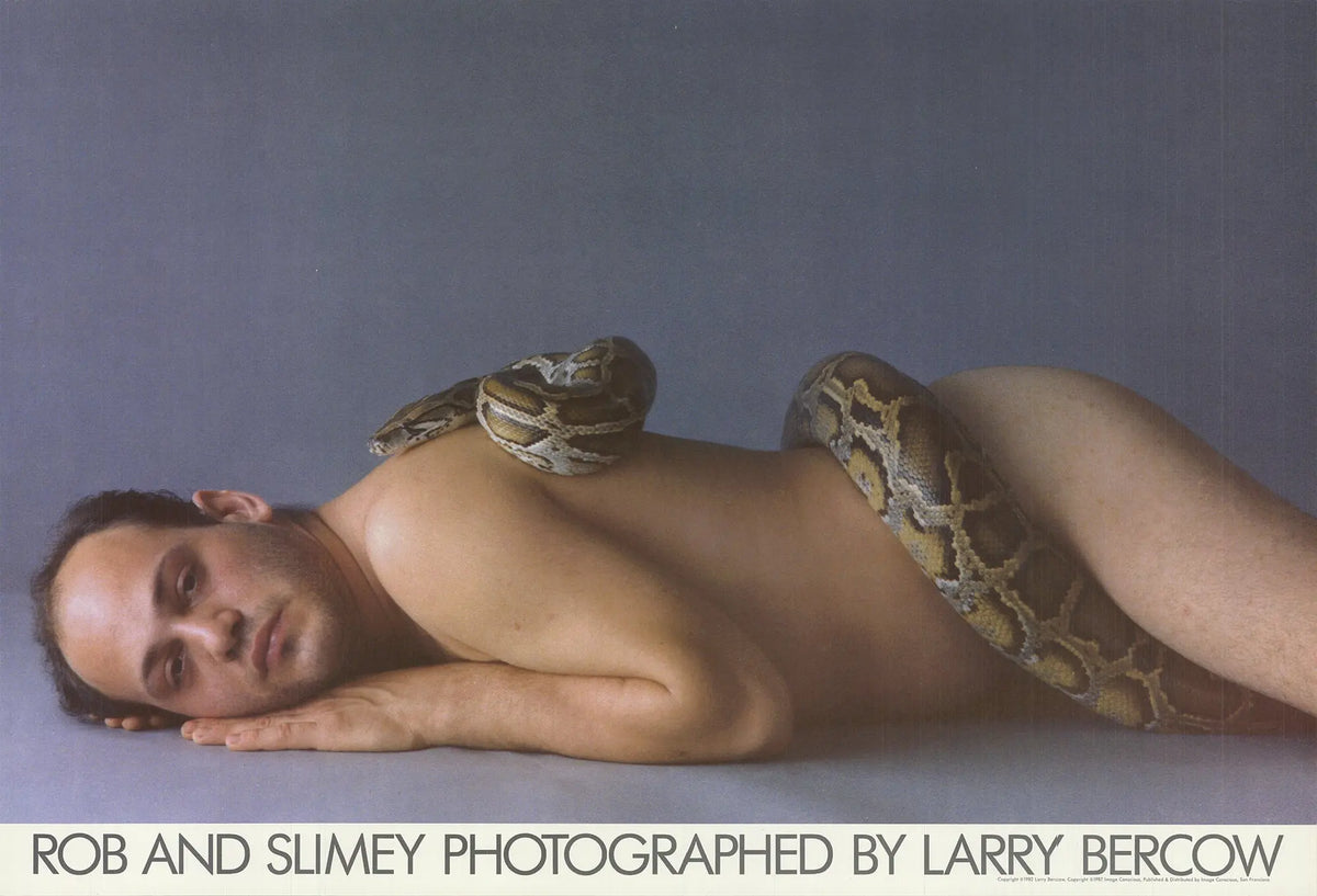 Larry Bercow Rob and Slimey 1987 original offset lithograph poster featuring colorful cartoon characters and vintage artwork.