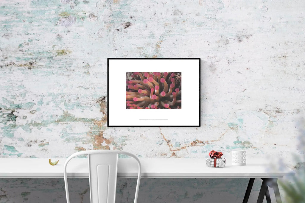 Leni Riefenstahl Tentacles of Giant Anemone limited edition 2002 poster featuring abstract tentacle artwork on paper.