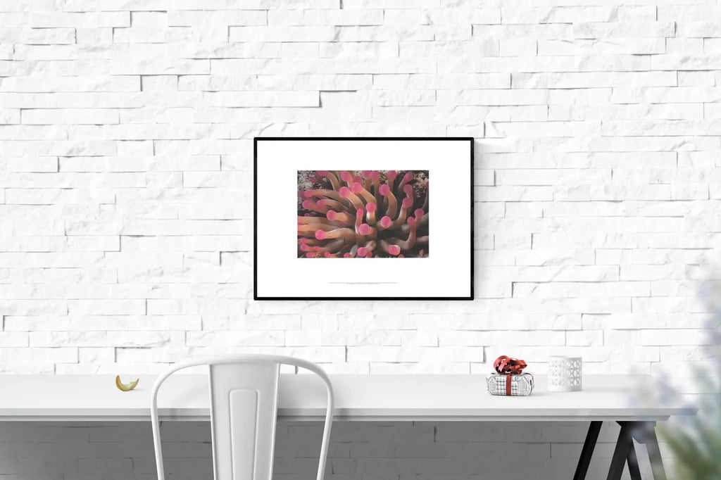 Limited edition 2002 poster featuring tentacles of a giant anemone, by artist Leni Riefenstahl, with vivid marine imagery.