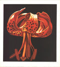 Signed limited edition Lowell Nesbitt botanical aquatint etching of a lily, created in 1973, showcasing vibrant floral details.