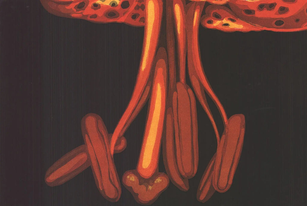 Limited edition botanical aquatint etching of a lily by Lowell Nesbitt, signed and dated 1973, showcasing detailed floral artwork.