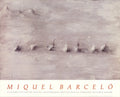 Miguel Barcelo Paysage Avec Sept Fruits 1989 lithograph poster showing vibrant landscape with seven fruits, artwork by Miguel Barcelo