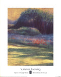 Patricia D'Hooge Meras Summer Evening 2000 offset lithograph art poster displaying vibrant colors and abstract design.
