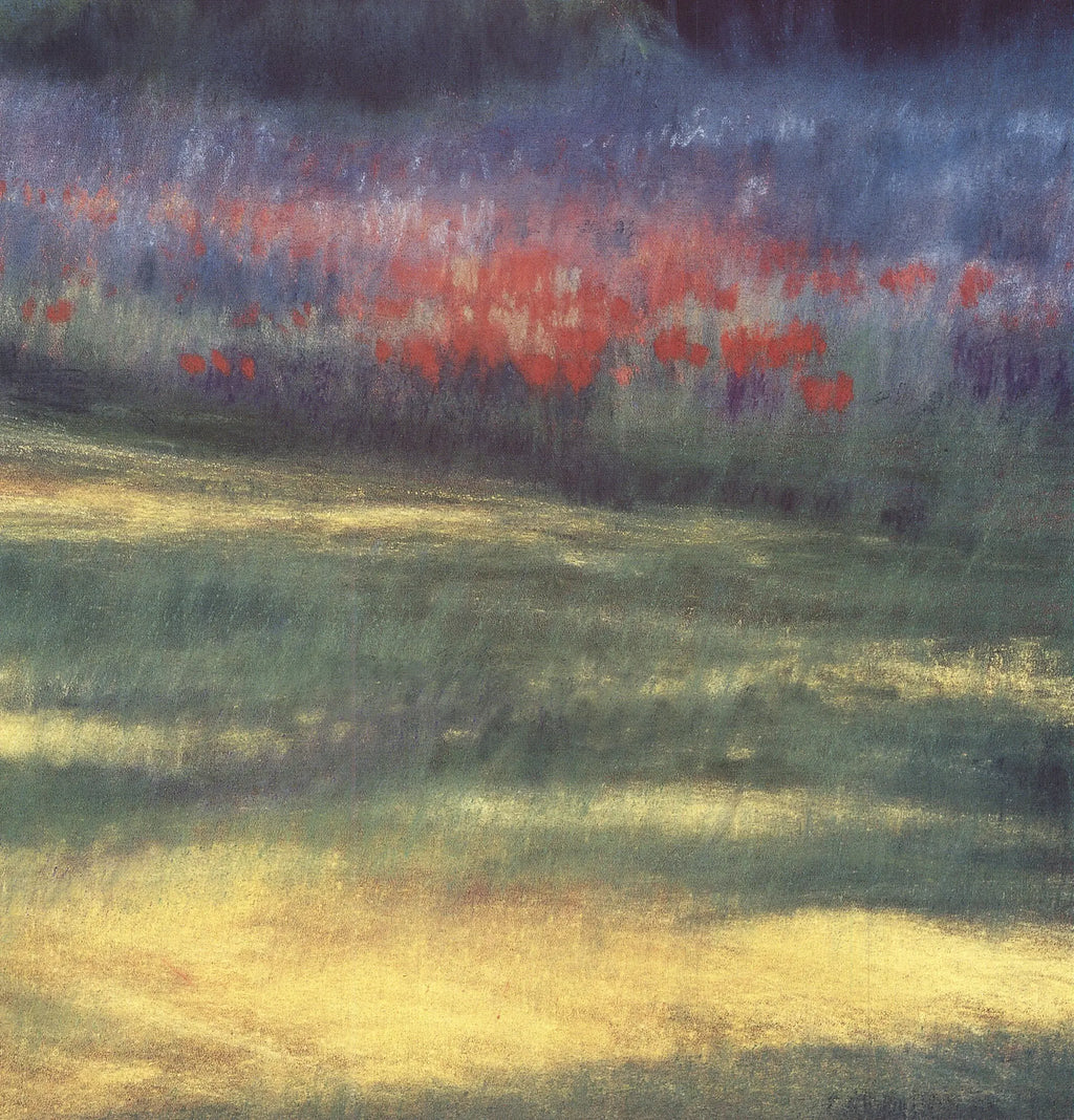 Patricia D'Hooge Meras Summer Evening 2000 offset lithograph art poster showcasing vibrant colors and abstract summer scene.