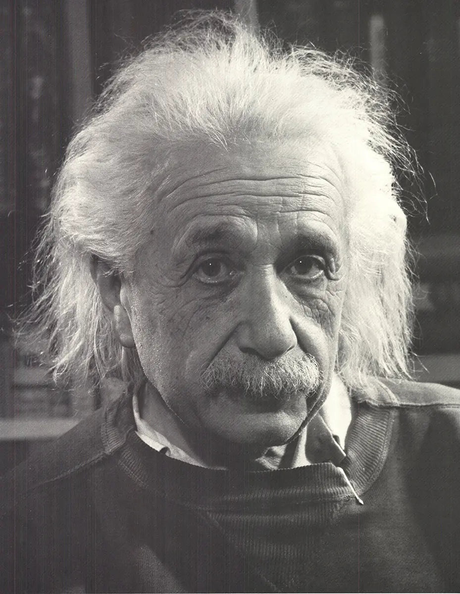 Philippe Halsman Albert Einstein 1981 portrait offset lithograph art print showing Einstein's thoughtful face and signature style.