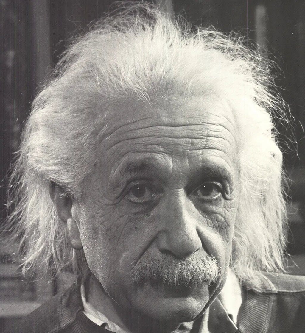Philippe Halsman Albert Einstein 1981 portrait offset lithograph art print showing Einstein's face in black and white.