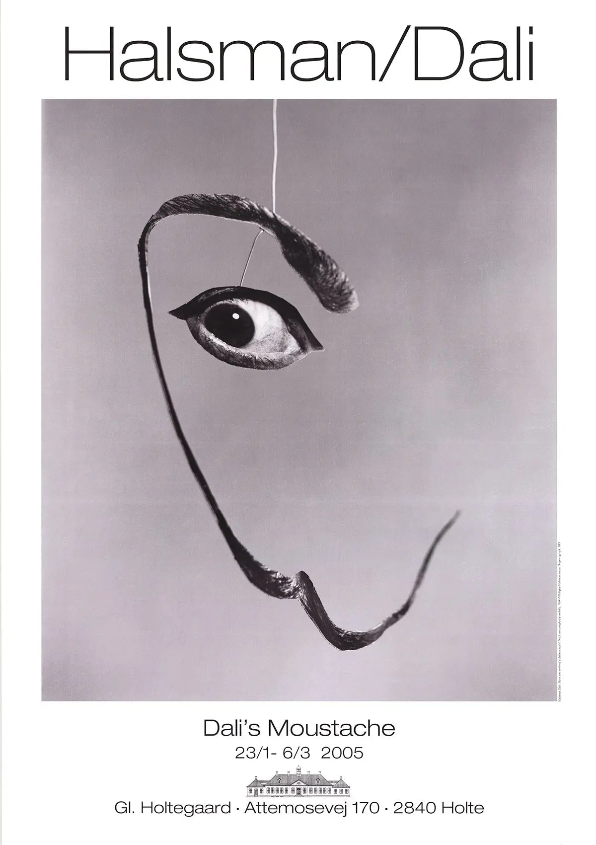 Philippe Halsman Dali's Moustache 2005 offset lithograph art poster featuring Salvador Dali's mustache design.