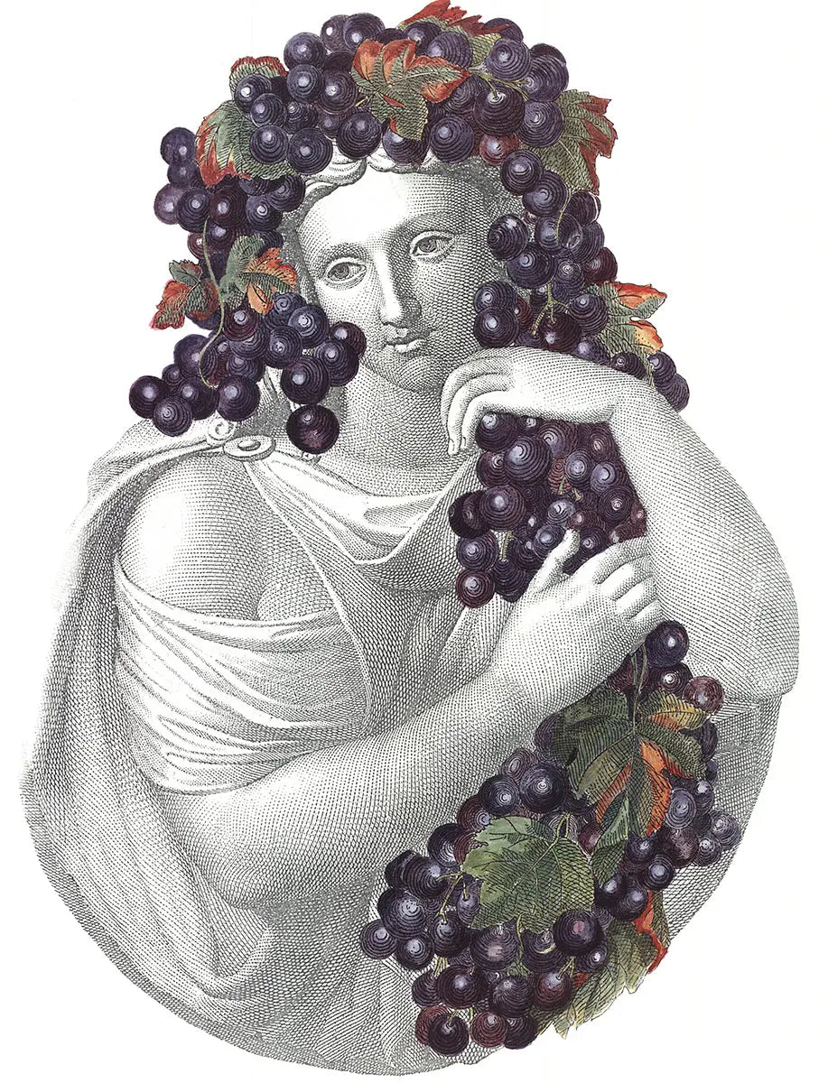 Piero Fornasetti Portrait with Grapes 1995 offset lithograph art poster showing a detailed portrait with grapes in a classic art style.