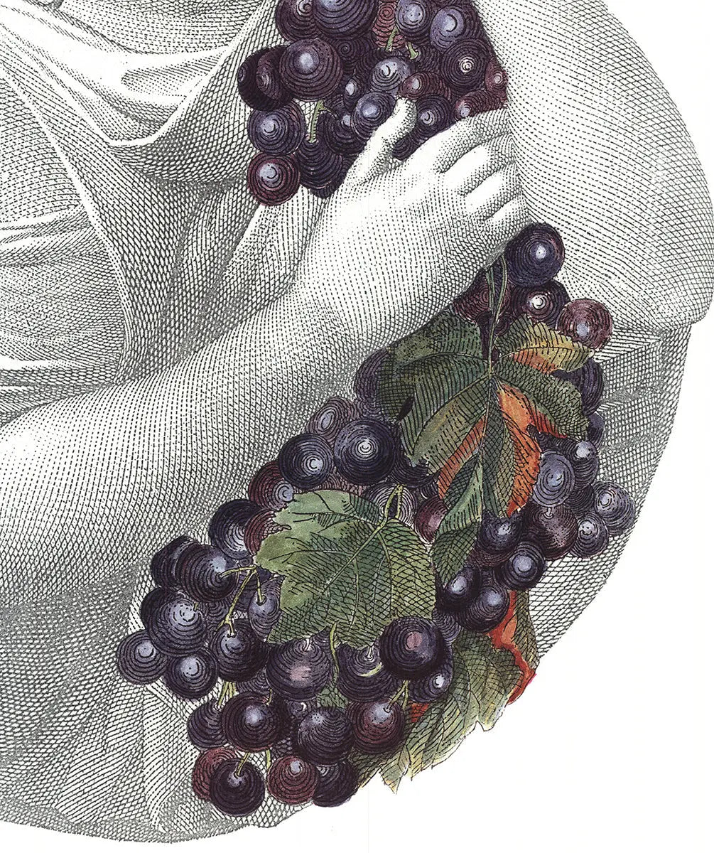 Piero Fornasetti portrait with grapes offset lithograph art poster, vintage 1995, featuring detailed black and white surreal imagery.