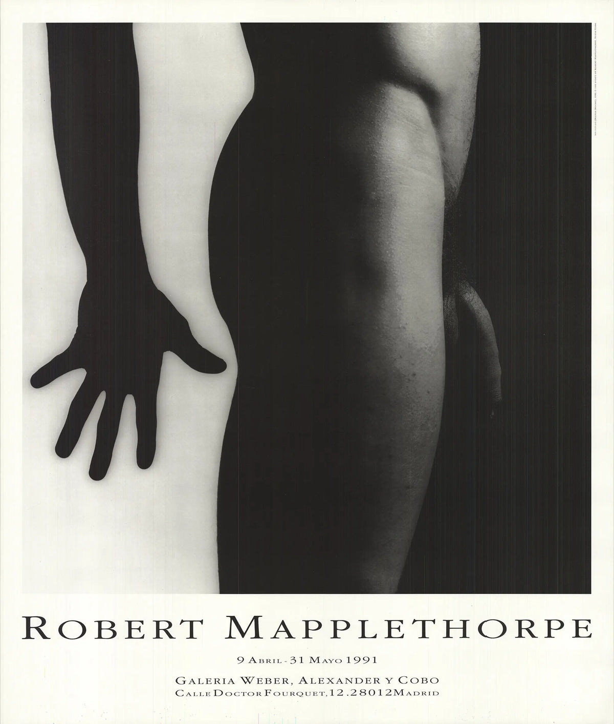 Robert Mapplethorpe Sin Titulo offset lithograph exhibition poster showing abstract artwork in black and white.