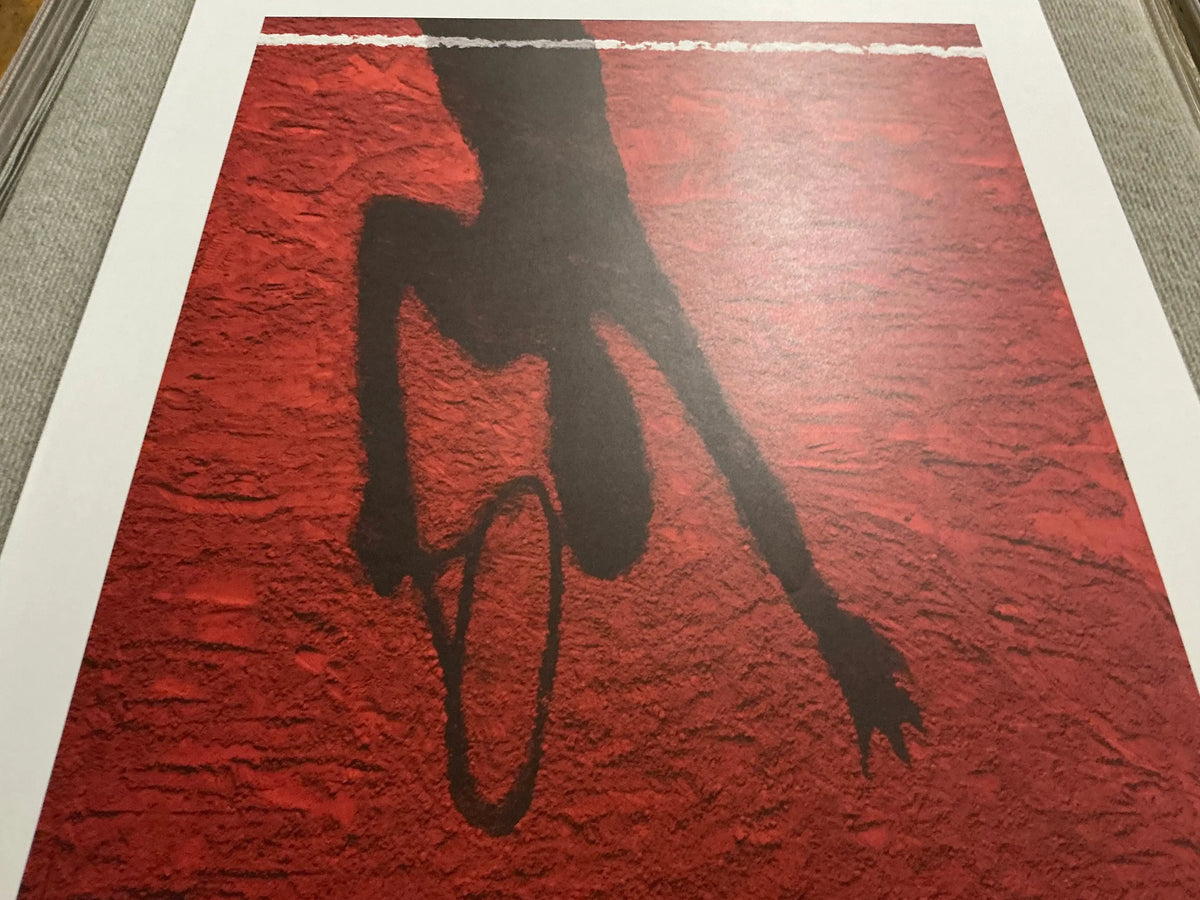 Original Vik Muniz tennis art poster featuring Roland Garros French Open 2017, showcasing vibrant tennis imagery and artistic design.