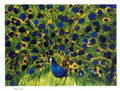 Large vintage Walasse Ting Peacock 1985 offset lithograph art poster featuring vibrant colors and intricate feather details.